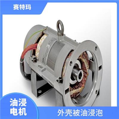 天津油浸电机价格 外壳被油浸泡 减少了电机的热损耗
