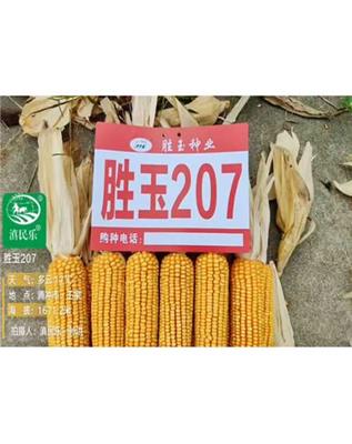 兴民农资种子公司