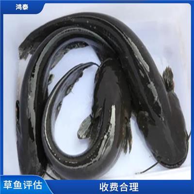 兴义市青蛙评估 一对一服务 评估流程标准化