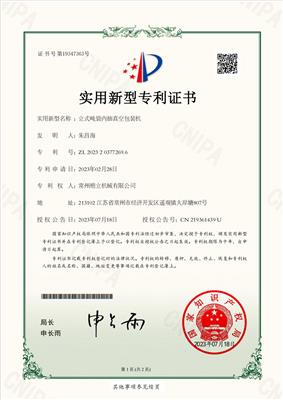 立式吨袋内抽真空包装机