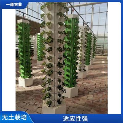 无土栽培种植 合肥无土栽培设计厂家 水分利用率高