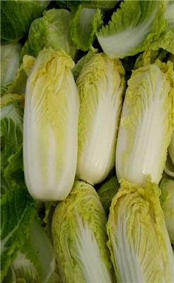 嵩明黄白菜供应