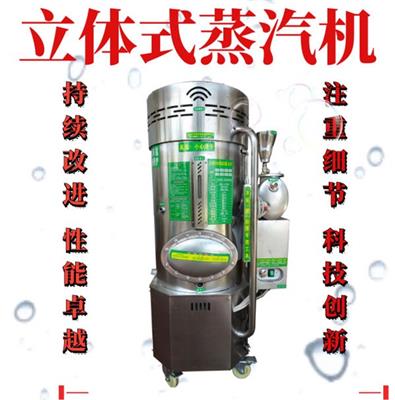 小型蒸汽机,酿酒蒸馒头机食品蒸汽锅炉蒸汽机,天然气蒸汽机