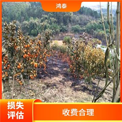 济南市林木火灾损失评估 评估效率高 多年评估经验