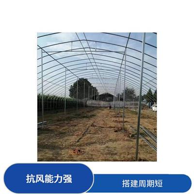 沧州简易温室大棚施工 春秋大棚建设 上门安装