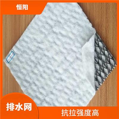 长沙三维复合排水网 过滤性强