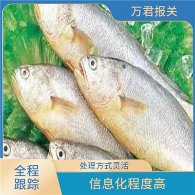 福建大西洋鲑进口清关 信息化程度高 节约申报时间