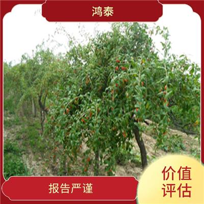 成都市林木 经验丰富 可靠性较高