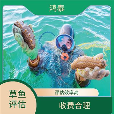 深圳市海螺评估 一对一服务 评估业务范围广