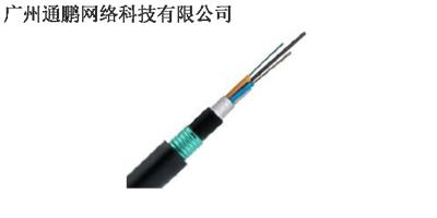 管道光缆的敷设施工 诚信经营 广州通鹏网络科技供应