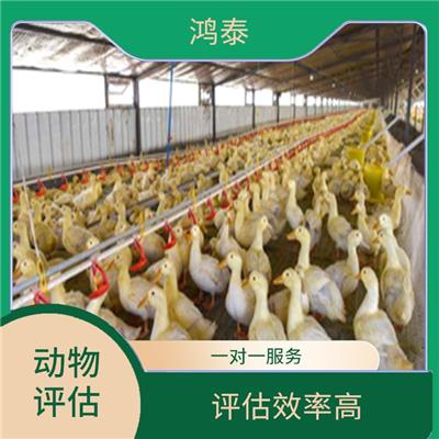 南宁市肉鸡评估 收费合理 服务完善
