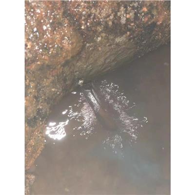 樟木头镇附近管道漏水检测公司 快速上门