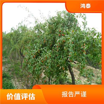 林场调查 报告严谨 评估业务范围广