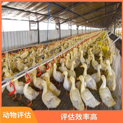 合肥市畜牧动物评估 一对一服务 可靠性较高