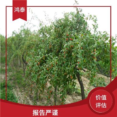 绿化植物评估 收费合理 评估流程标准化