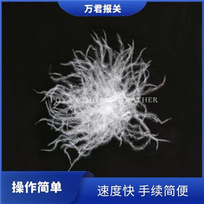 芜湖进口填充用羽绒流程 经验丰富 一对一服务