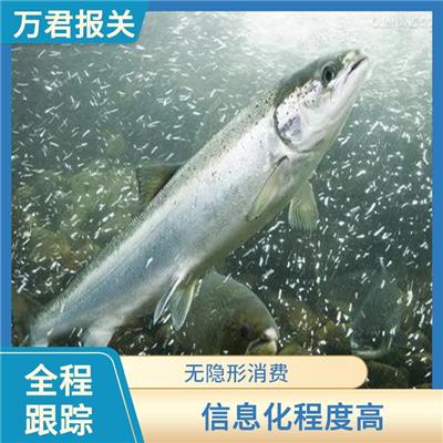 宁波马鲛鱼进口清关 省时省心省力 全程跟踪