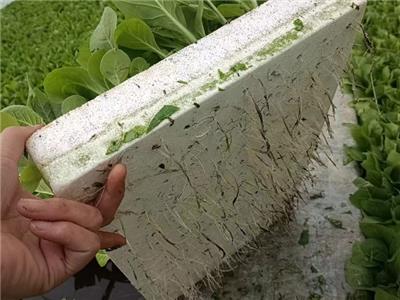 武汉栽培育苗基质哪里找 湖北鲁湖天慧农业科技供应