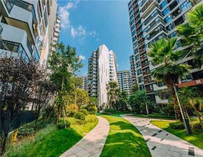 西昌市物业管理公司推荐