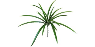 台州围栏塑料绿植厂家直销 诚信服务 浙江明筑新材料股份供应