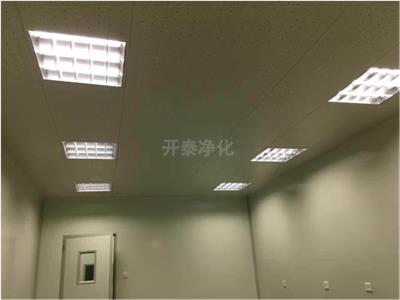 重庆制药净化工程图片 欢迎咨询 温州开泰净化科技供应