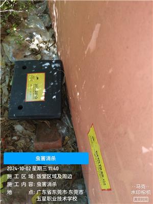 东莞除四害 厨房卫生间灭蟑螂 有害生物