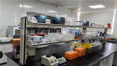 武汉动物肌肉转录组测序测序深度的确定 艾康健（武汉）基因技术供应