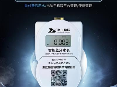 常州人才公寓智能水表品牌 浙江施王物联科技供应