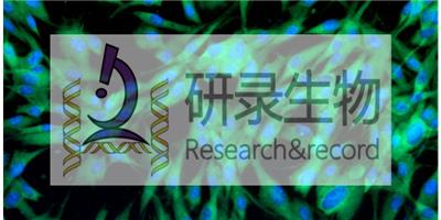 上海疾病模型原代细胞实验室 动物模型 上海研录生物医药供应