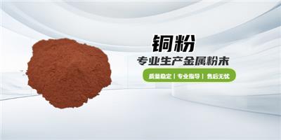 成都**细导电铜粉规格 欢迎咨询 核八五七新材料成都供应
