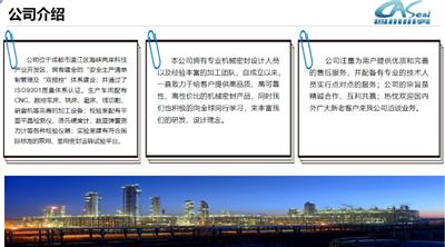 海南溶解罐搅拌器机械密封结构 四川川奥密封件供应