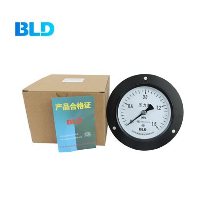 BLD布莱迪代理一般压力表Y-100.BT精度1.6级M20*1.5连接IP54包邮