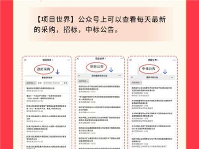 西安怎样了解项目世界vip会员技术指导 推荐咨询 陕西建工网络科技供应