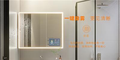 江西美妆镜功能 欢迎来电 广东潜力谷智能家居股份供应