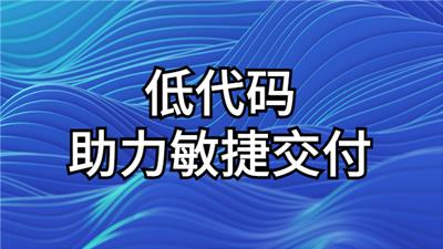 徐州敏捷开发aPaaS 欢迎咨询 上海得帆信息技术供应
