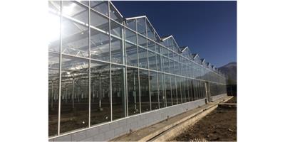 绵阳高质量温室大棚灌溉 蔬菜大棚   绵阳兴隆科技供应