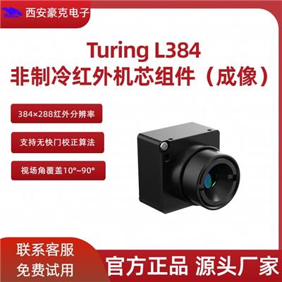 Turing L384 非制冷红外机芯组件 成像