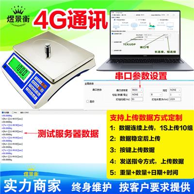 带开关量输出继电器信号电子台秤