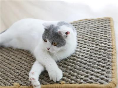**剑麻猫抓垫厂家直销 中麻家居上海供应