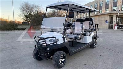 苏州高尔夫球车 高尔夫球车 专菱车辆科技供应