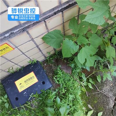 桥东灭蚊电话 杀白蚁 24小时热线咨询