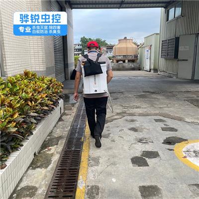 大岭灭鼠公司 工厂杀虫灭鼠杀蚊子
