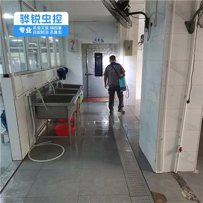 广州杀虫灭鼠 家庭酒店除蟑螂 效果看得见