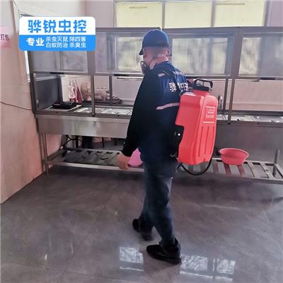 赤坑灭鼠服务 食堂灭鼠灭蝇