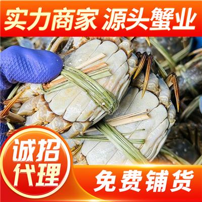 苏霸王阳澄湖大闸蟹25年蟹卡礼卷已经上市，诚招代理*商