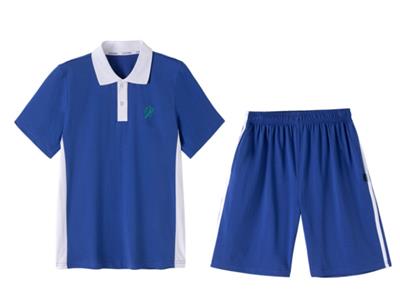 冰冷的深圳校服哪儿有 深圳市新都文具供应