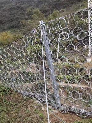 廊坊被动防护网厂家