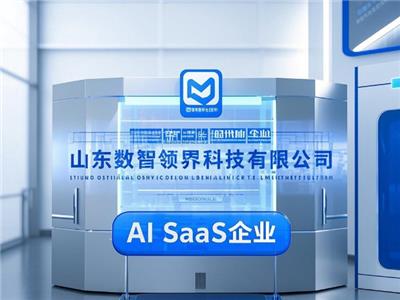 泰安互联网数智化转型服务费 创新服务 青岛数智领界科技供应