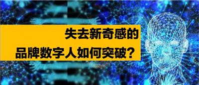 陕西个性化定制华为数字人的成本 抱诚守真 西安臻成企业管理咨询供应