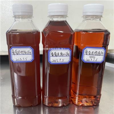 诚达膜CD-MZ/RS植物提取超滤膜系统纳滤膜浓缩设备